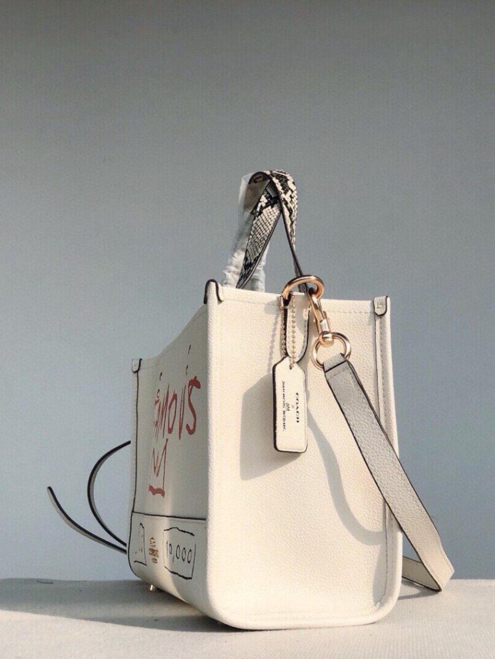 Coach x Jean-Michel Basquiat Dempsey Carryall Satchel/Crossbody - Picture 5 of 9